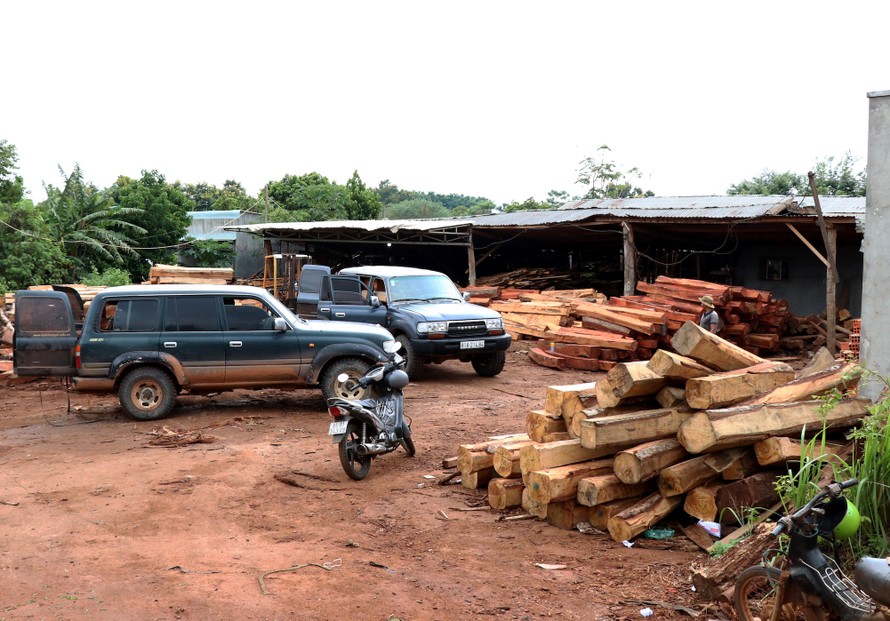 Hai xe ô vận chuyển gỗ vào trong kho bãi của Doanh nghiệp tư nhân Hùng Ny