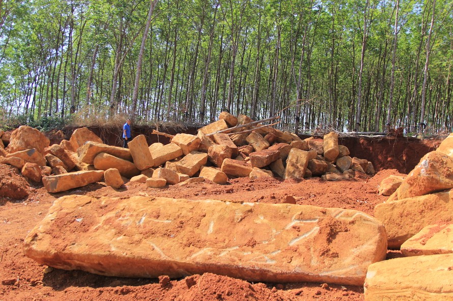 Mỏ đá cây cách trụ sở UBND xã Ia Pnôn, huyện Đức Cơ, Gia Lai khoảng 3km