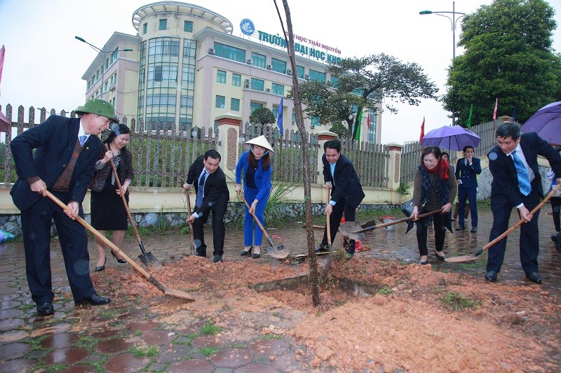 Tổ chức “Chiến dịch Tết trồng cây” trong khuôn viên Đại học Khoa học – Đại học Thái Nguyên.
