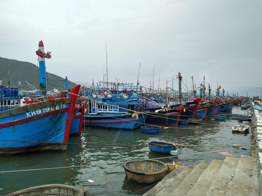 Khánh Hoà cấm tàu thuyền ra biển để ứng phó siêu bão Rai