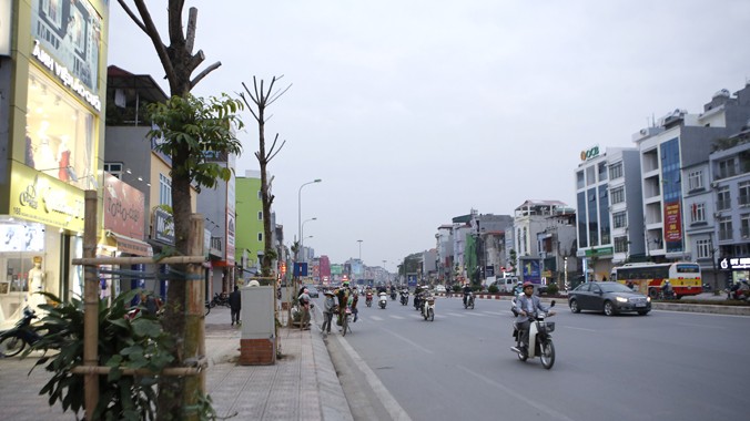 Cây xanh tuyến phố Ô Chợ Dừa - Hoàng Cầu được thực hiện theo hình thức xã hội hóa.Ảnh: Như Ý.