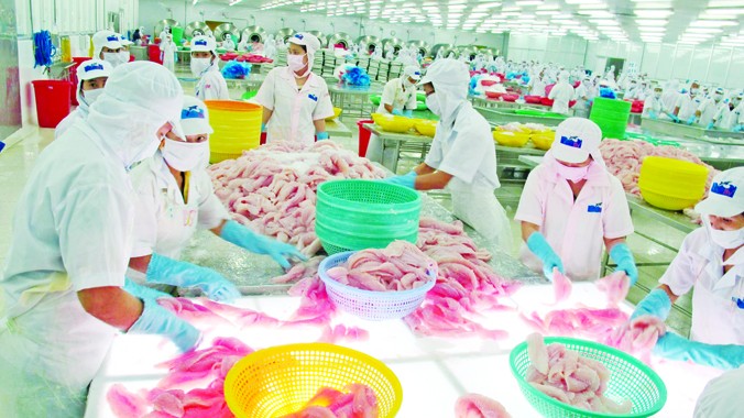 Thủy sản Việt Nam có cơ hội tăng xuất khẩu vào Hàn Quốc, Nga, Belarus, Kazakhstan với các FTA sắp được ký kết. Ảnh: Phạm Anh.