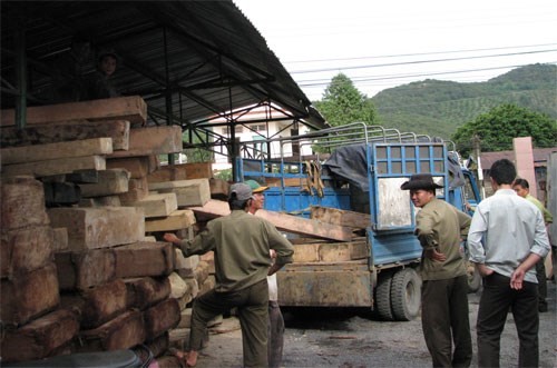 Hạt kiểm lâm Đạ Huoai trong một đợt tịch thu gỗ lậu. Ảnh Thanh Niên