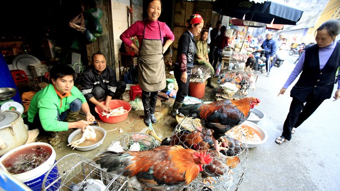 Giết mổ gia cầm công khai tái diễn tại nhiều chợ ở Hà Nội. Ảnh: N.Tú.