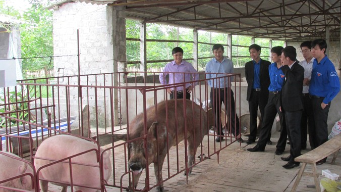 Cán bộ Trung ương Đoàn và Tỉnh Đoàn Thanh Hóa thăm trang trại phát triển kinh tế của anh Lê Văn Đức. Ảnh: Hoàng Lam.