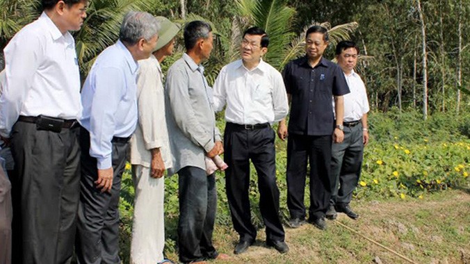 Chủ tịch nước xem xét "Cánh đồng lớn" ở ấp Tân Biên, xã An Nông. Ảnh: Thanh Hải