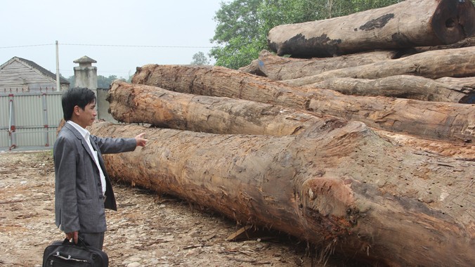 Không bán được hàng, hàng vạn khối gỗ đang lưu kho tại nhiều doanh nghiệp ở Hương Khê.