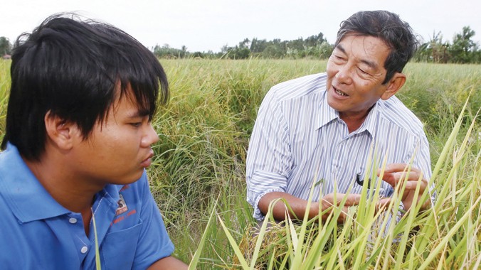 Anh hùng lao động Hồ Quang Cua với kỹ sư trẻ trên cánh đồng lai tạo giống lúa. Ảnh: Duy Khương