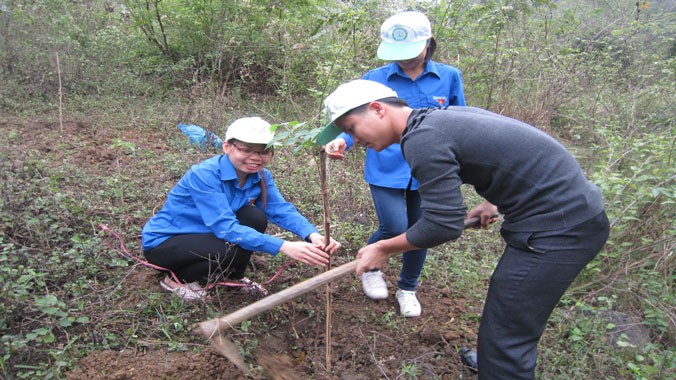 Các bạn trẻ trồng rừng tại Bắc Kạn.