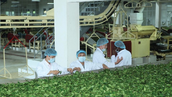 Các chuyên gia thăm nhà máy chế biến chè theo mô hình sản xuất chè bền vững trong chương trình hợp tác của Unilever. Ảnh: T. Hương.