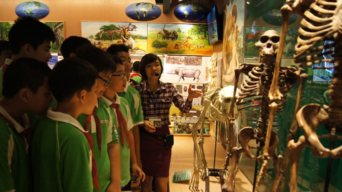 Học sinh tham quan tại Phòng trưng bày tiến hóa sinh giới ở Viện Hàn lâm Khoa học và Công nghệ Việt Nam.