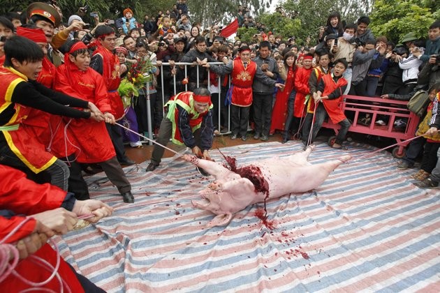 Chém lợn ở Ném Thượng