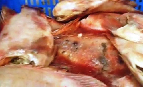Thịt động vật hôi thối do Công ty TMHH MTV Phú Nhật Hào đưa đến trường tiểu học Long Bình, bị cơ quan chức năng niêm phong. Ảnh: Báo Bình Dương