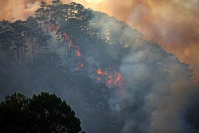 Cánh rừng bị cháy ở gần đỉnh núi cao, dốc đứng nên không thể đưa máy móc phương tiện dập lửa đến tận nơi. Ảnh: SGGP