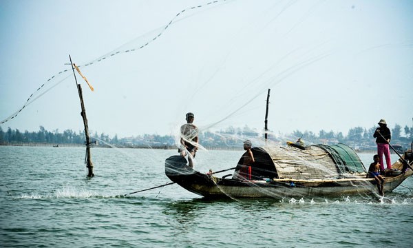Rùa biển vướng vào lưới của ngư dân trên phá Tam Giang. Ảnh: Một thế giới.