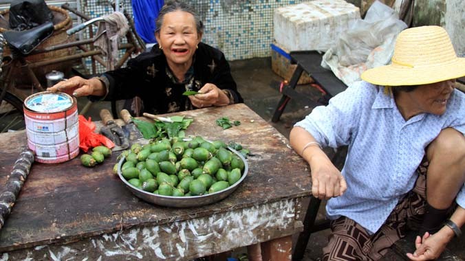 Bán trầu cau trên đảo Hải Nam, Trung Quốc. Ảnh: Rolf Mueller.