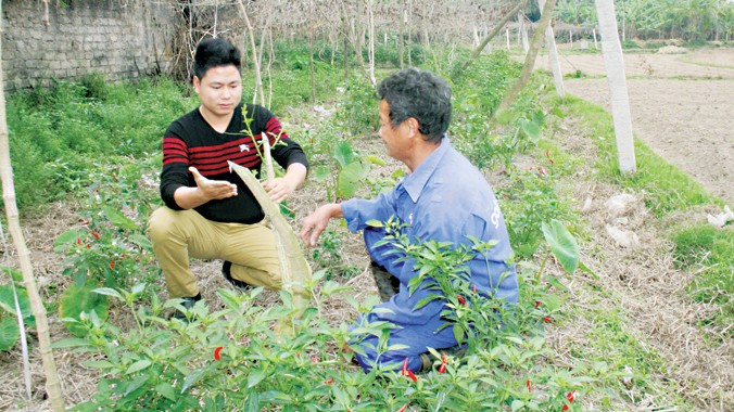 Anh Ngô Sỹ Đạt (bên trái) hướng dẫn người dân Yên Thế trồng gấc.