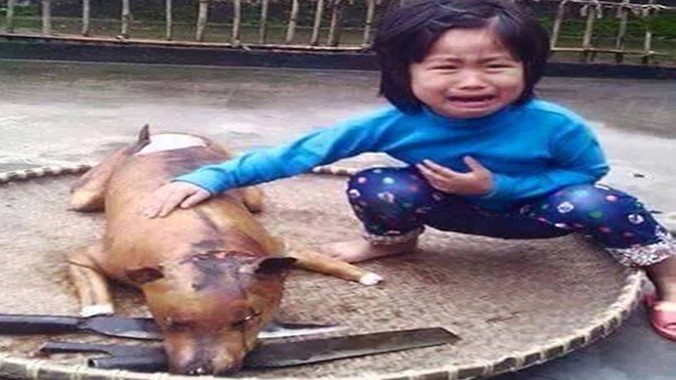 Tấm ảnh bé gái khóc khi con chó thân yêu vừa bị giết thịt thu hút sự chú ý của cộng đồng mạng.