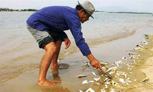 Người dân vớt cá chết hàng loạt trên sông Lệ Thủy. Ảnh: Nhân Dân