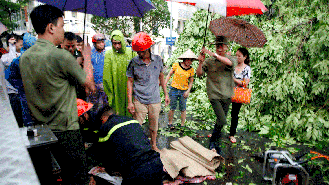 Lực lượng cứu hộ cứu nạn đang khẩn trương cứu người bị cây đè sau cơn dông chiều 13/6. Ảnh: Hồng Vĩnh.