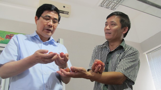 Bộ trưởng NN&PTNT Cao Đức Phát (trái) thăm khu chiếu xạ vải thiều tại Hà Nội. Ảnh: Phạm Anh.