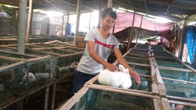 Anh Phạm Văn Thưởng chăm sóc vật nuôi trong trại nhà mình.