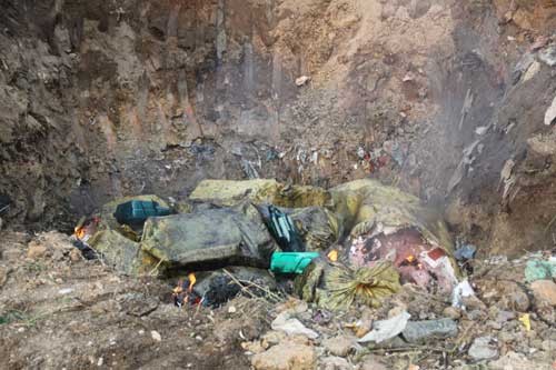Ngành chức năng tỉnh Lạng Sơn vừa tiến hành xử lý, tiêu hủy 4 con lợn chết thu giữ được tại một nhà trọ. Ảnh: Minh họa 