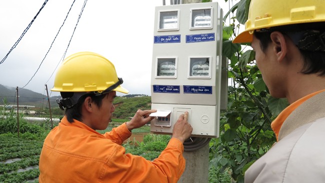 Công ty Điện lực Lâm Đồng đảm bảo cung cấp điện đầy đủ cho các vùng trồng hoa công nghệ cao.
