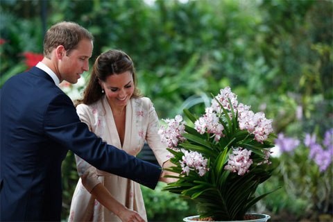 Vợ chồng Hoàng tử Anh William - Catherine bên loài hoa mang tên mình.