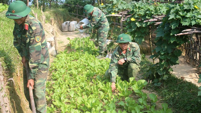 Các chiến sỹ Tiểu đoàn 16 đang chăm sóc vườn tăng gia trên trận địa 137.