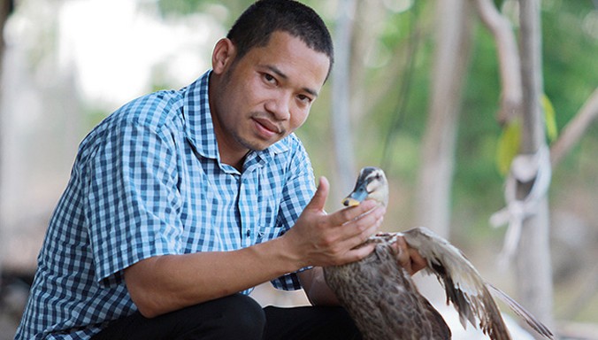 Anh Nguyễn Đăng Cường thành công với trang trại nuôi vịt trời đầu tiên tại Bắc Ninh.