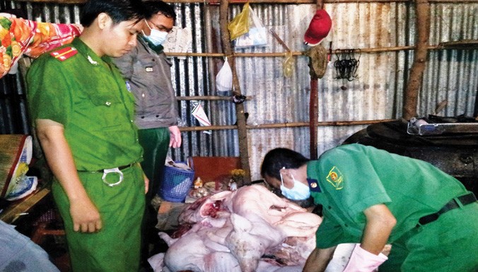 Thịt heo bẩn từ các tỉnh tuồn về TPHCM bị cơ quan chức năng phát hiện, thu giữ trong năm 2015.