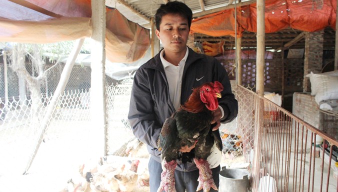 Anh Lê Quang Thắng đang bế con gà Đông Tảo trị giá hơn 10 triệu đồng.