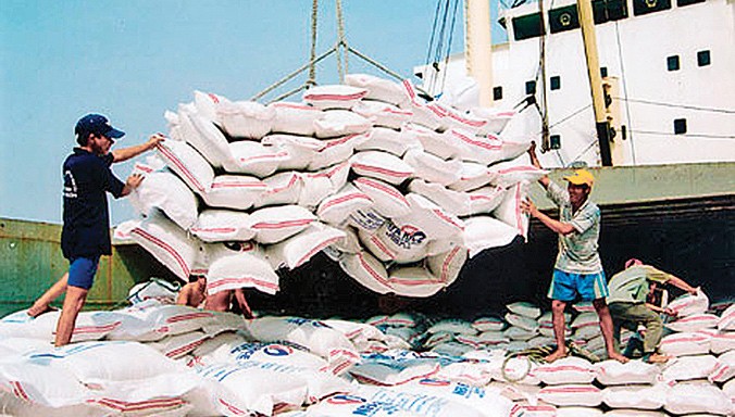 Xuất khẩu gạo được cho là không có nhiều tiềm năng thời kỳ TPP. Ảnh Tư liệu.