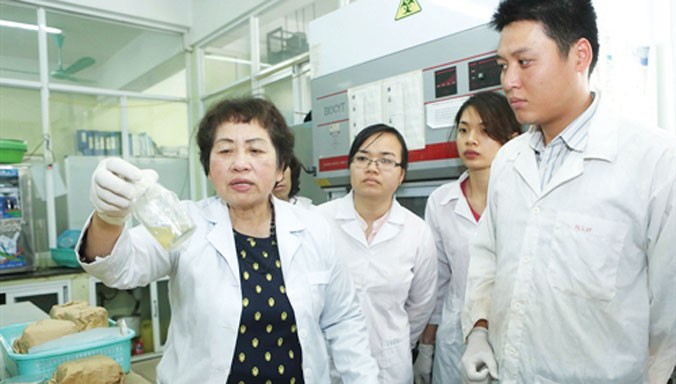 PGS.TS Đặng Thị Cẩm Hà hướng dẫn các nghiên cứu sinh trong phòng thí nghiệm.