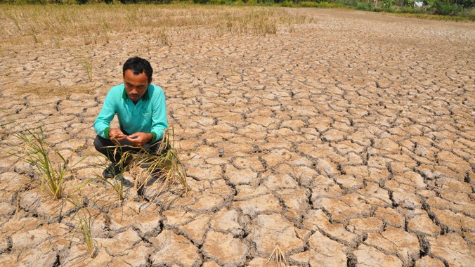 Một cánh đồng khô hạn ở huyện An Biên, Kiên Giang.