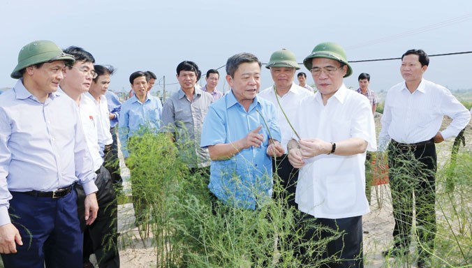 Chủ tịch Quốc hội Nguyễn Sinh Hùng thăm mô hình cây trồng ở Hà Tĩnh. Ảnh: Nhan Sáng.