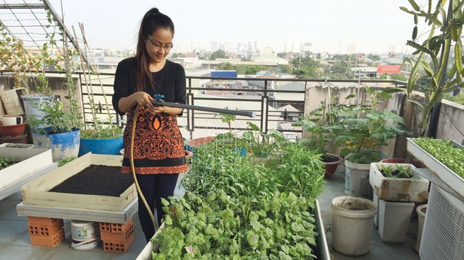 Vườn rau sạch trồng tại nhà của chị Hoàng Phương ở quận Tân Bình.