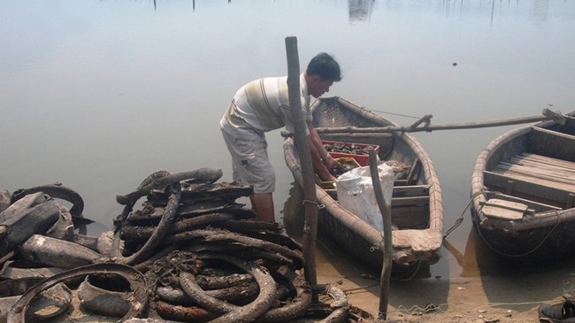 Vỏ lốp cũ đã trở thành vật dụng nuôi hàu phổ biến nhiều năm nay tại Lăng Cô, khiến nhiều người lo ngại.
