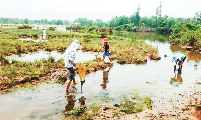 Người dân Lộc Vĩnh (huyện Phú Lộc, TT-Huế) đổ xô đi vớt cá biển dạt vào bờ nhưng không khỏi hoang mang, lo lắng trước hiện tượng lạ này. Ảnh: Tiến Vinh.