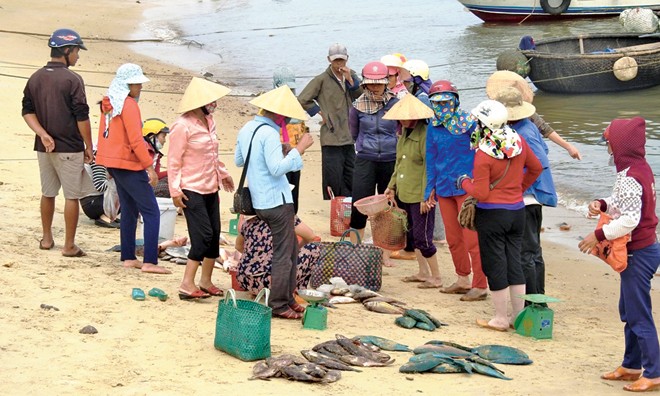 Nhiều người dân Quảng Trị vớt, nhặt cá chết để bán cho doanh nghiệp tư nhân. Ảnh: Hữu Thành.