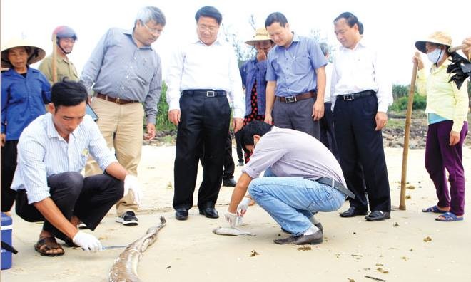 Đoàn công tác của tỉnh Quảng Trị kiểm tra thực địa cá chết. Ảnh: Hữu Thành.