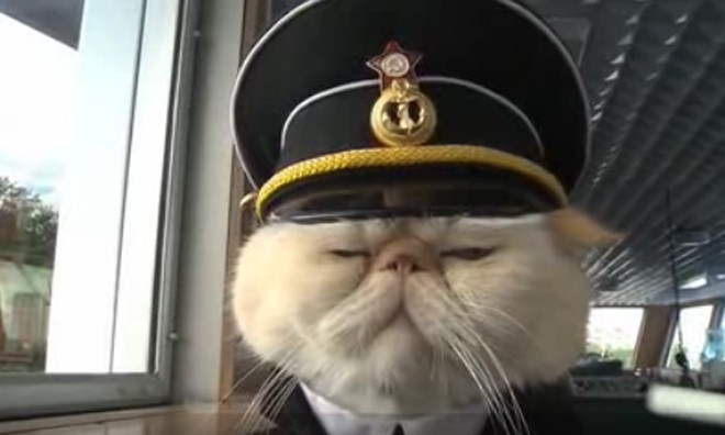 Mèo thủy thủ được thăng chức
