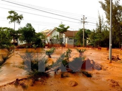 Sự cố vỡ hồ chứa tại Bình Thuận: Làm rõ các sai phạm. Ảnh: TTXVN