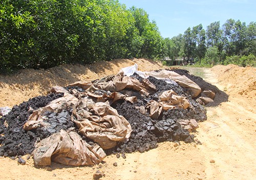 Formosa và những câu hỏi