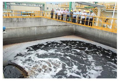 Hệ thống xử lý nước thải công nghiệp của Formosa Hà Tĩnh