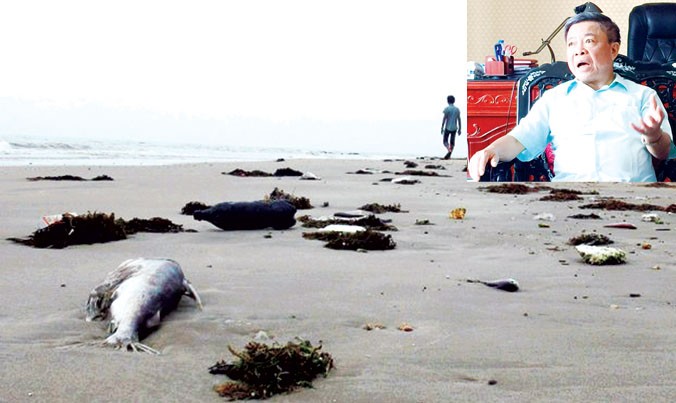 Cá chết dạt vào bờ biển huyện Quảng Trạch, tỉnh Quảng Bình (ảnh lớn). Ông Võ Kim Cự (ảnh nhỏ). Ảnh: AFP - Lê Anh Đạt.