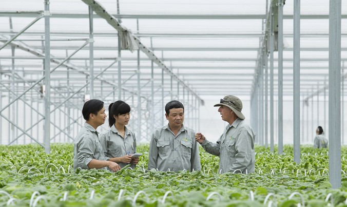 Các cán bộ sẽ được VinEco cử đến hướng dẫn trực tiếp các hộ sản xuất tiếp cận với kỹ thuật và quy trình sản xuất nông nghiệp hiện đại.
