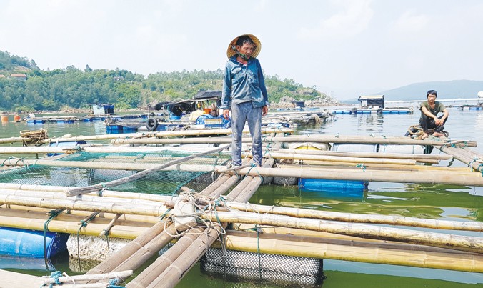 Người dân thôn Lam Sơn buồn rầu bên những lồng cá trống không. Ảnh: Quang Lộc.