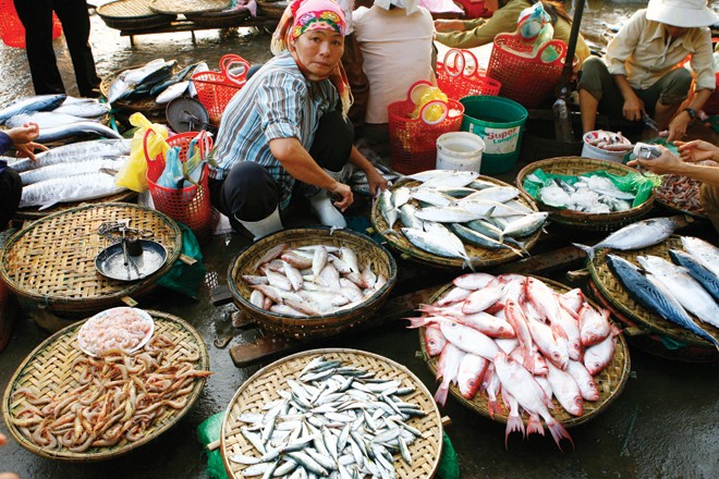 Người tiêu dùng khi mua đồ biển ở chợ sẽ khó biết đâu là “hải sản tầng đáy trong 13,5 hải lý” theo khuyến cáo của Bộ Y tế . Ảnh: Hồng Vĩnh.